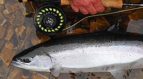 alaska_salmon_fishing